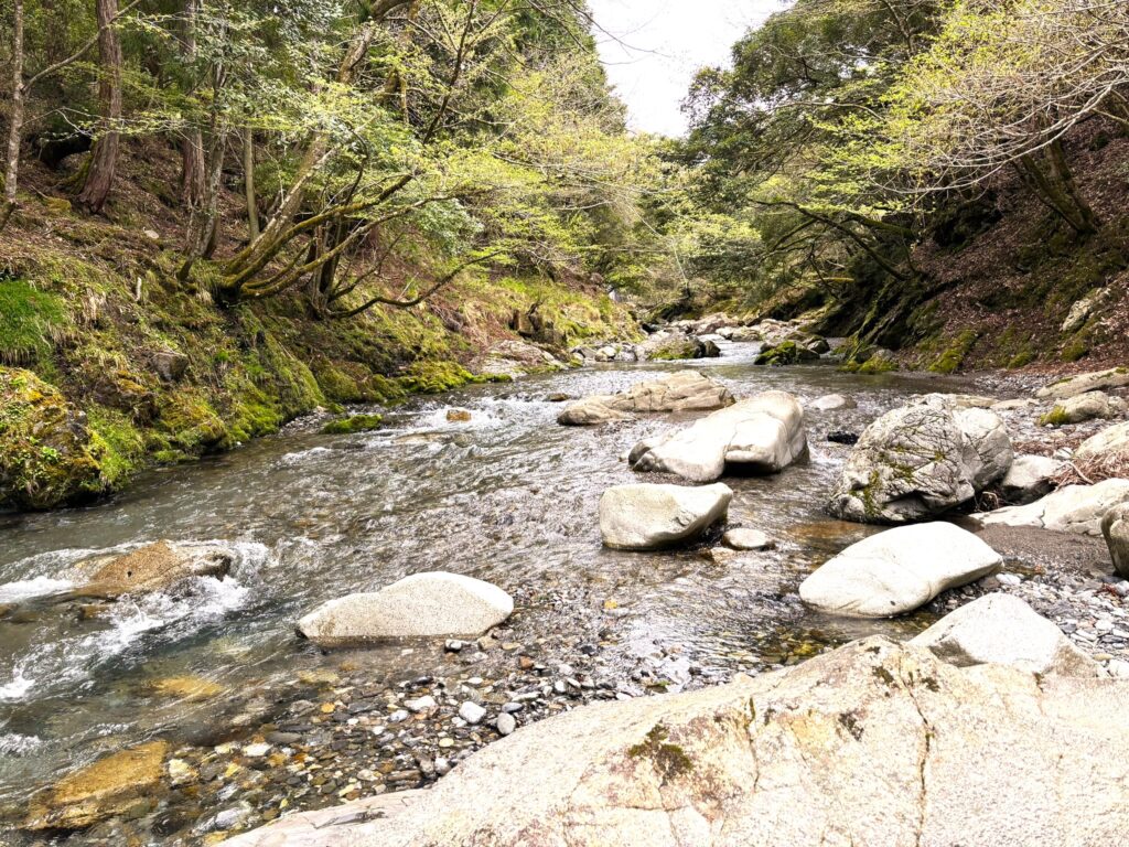 愛知川上流
